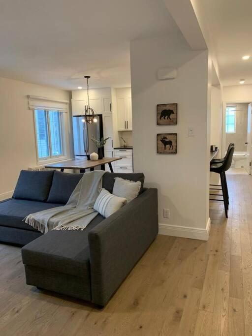 Free Parking, Beautiful 4 1/2- 2 Bedroom Apartment Montréal Eksteriør bilde